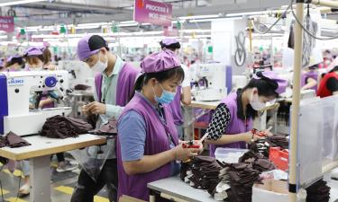 Sản xuất hàng may mặc xuất khẩu tại Công ty trách nhiệm hữu hạn Crystal Martin, Khu công nghiệp Quang Châu (thị xã Việt Yên).
